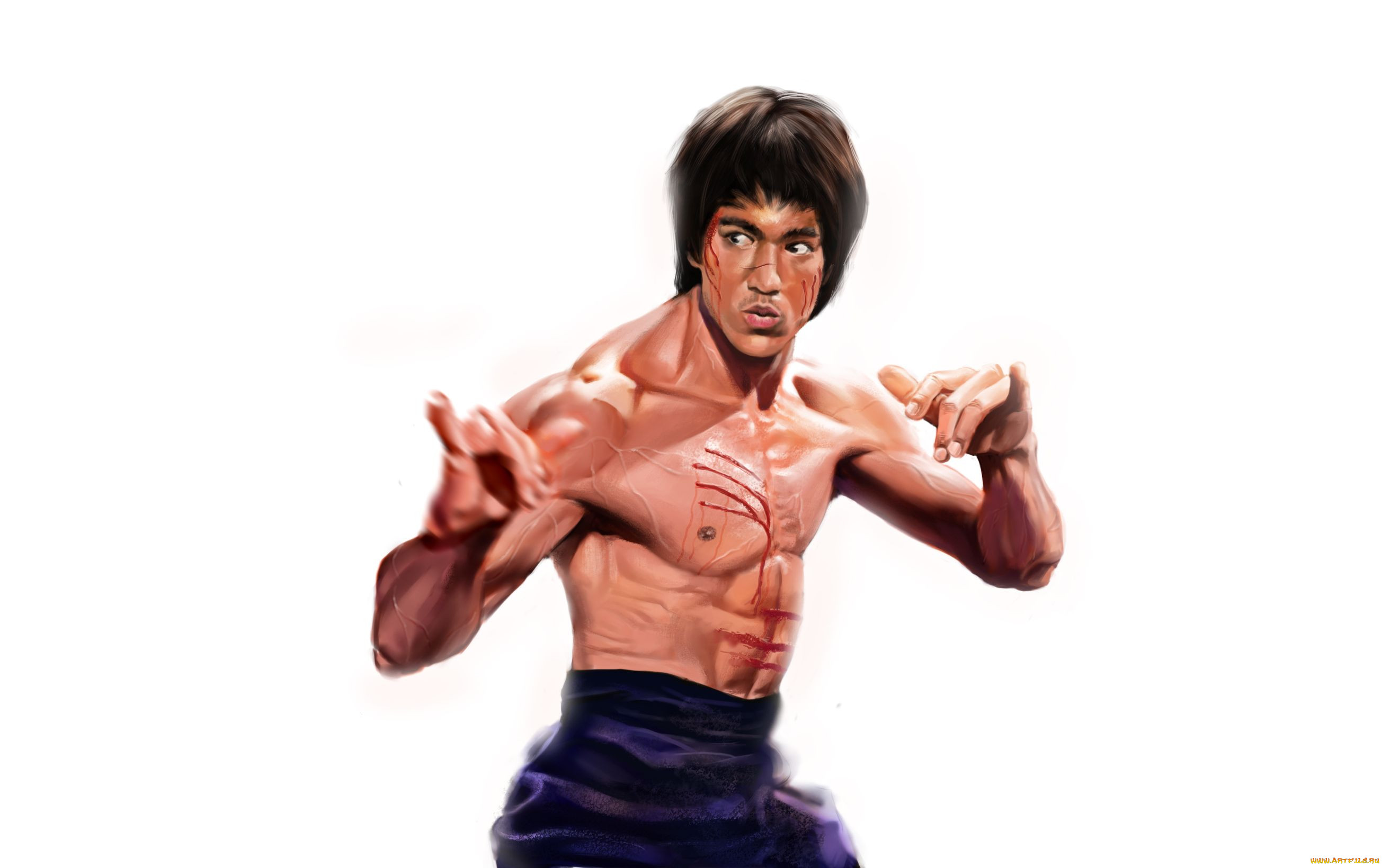 bruce, lee, , 